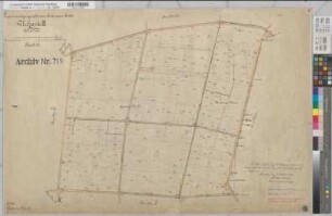 Epe, Gronau (Gronau), Alstätte (Ahaus), Wessum (Heek), Zusammenlegung des Amtsvenns, Bl.18 Urkarte II Wessum Flur 19