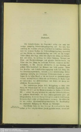 III. Zukunft