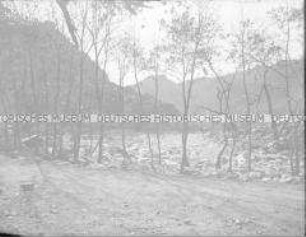 Glasdia von einer Baumgruppe am Wegrand