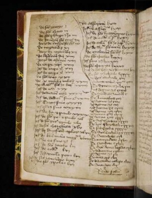 Registrum. De sancto Georgio I …
