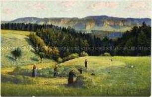 Heuernte