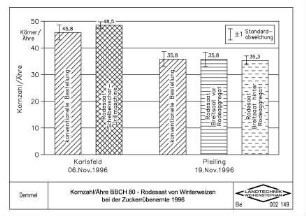 Kornzahl/Ähre BBCH 80, Rodesaat von Winterweizen bei der Zuckerrübenernte 1996