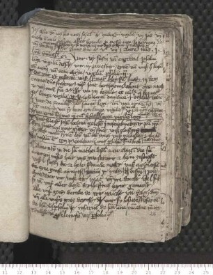 [Detaillierte Aufzeichnungen aus den Jahren 1507-39, darunter Trierer Nachrichten, eingehende Beschreibungen von Gebets- , Buß- und Fastenübungen, Aufzählungen verschiedener Zuwendungen an das Kloster, Todesfällen innerhalb des Ordens und des Klosters]