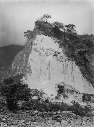 Landschaftsansicht : Vegetation und Felsen