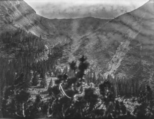 Bewaldetes Bergtal : Blick in ein bewaldetes Bergtal
