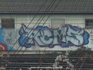 ReMS