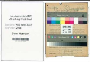 Entnazifizierung Hermann Stein , geb. 08.09.1913 (Schneider)