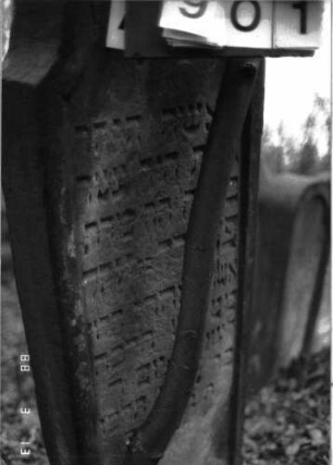 Grabstein 901 (Detailaufnahme 1)