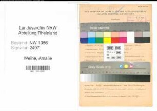 Entnazifizierung Amalie Weihe , geb. 04.05.1909 (Lehrerin)
