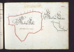 Feuerbacher Hut: Münchinger Viehau; Münchinger Spitalwald