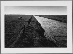 Weiden und Kanal in de Harde Osterland, Insel Föhr