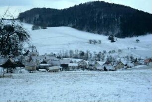 Blick zum Ort; Winterlandschaft