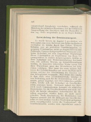 Entwickelung der Geschlechtsorgane.