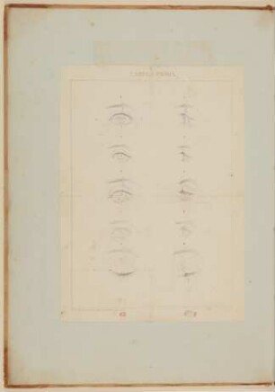 Die äußere Gestalt des gesunden menschlichen Auges [Vorzeichnung zu Samuel Thomas Soemmerring, Abbildungen des menschlichen Auges, Frankfurt am Main 1801, Tafel I ("linearische" Darstellung)]