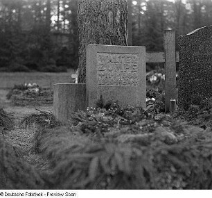 Grabstein für Walter Zumpe : Dresden. Friedhof (vielleicht auf dem Weißen Hirsch). Grabstein für Walter Zumpe