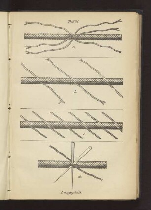Taf. 31 Langspleiss