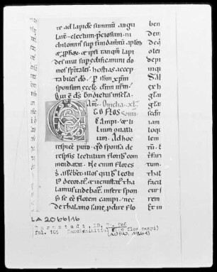 Bernardus, Sermones in Contica Canticorum — Initiale E(go flos campi), Folio 165recto