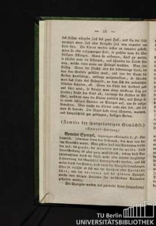 (Familie der spargelartigen Gewächse.)