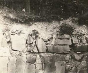 Bildung der Ackerkrume in einem Steinbruch, Rochlitzer Porphyrtuff