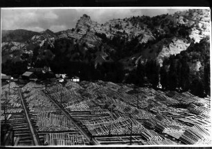 Herculesbad [Baile Herculane]: Holzlager, von oben