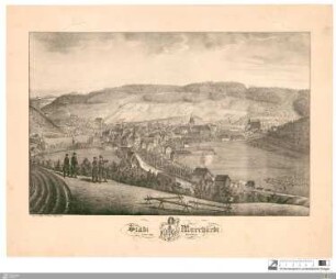 Stadt Murrhardt von der Nord-Seite
