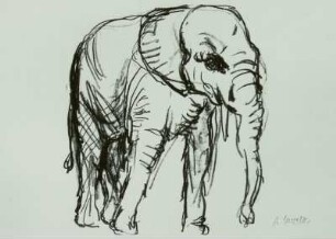 Illustration zu 'Berliner Zoo'