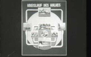 Schulungsmaterial/Lehrmittel: Filmband "Der Kreislauf des Kalkes"
