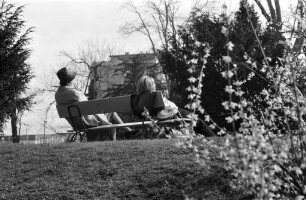 Sonniger Frühlingstag