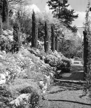 Partie in einem Garten, vielleicht in einem Villengarten (wahrscheinlich in oder bei Nürnberg)