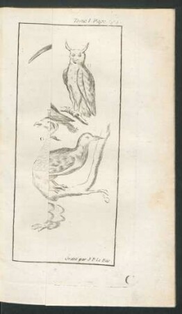 Tafel: Les Oiseaux.