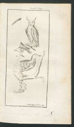 Tafel: Les Oiseaux.