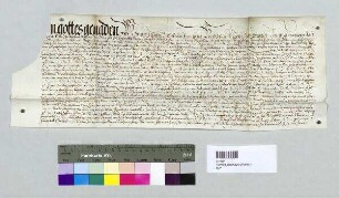 Bischof David von Regensburg stellt für Christoph Nusser, Pfleger am Hofe zu Regensburg, eine Schuldverschreibung aus. S1: Hochstift Regensburg, S2: Domkapitel