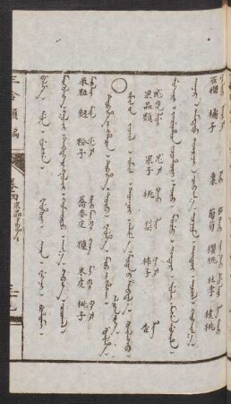 Tubihe i hacin = Jimis-ün jüil [Jimiz uv jujil] = 果品類