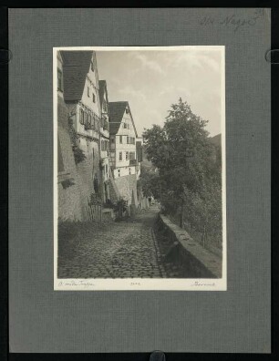 299, Berneck. (Nr. 3442).
