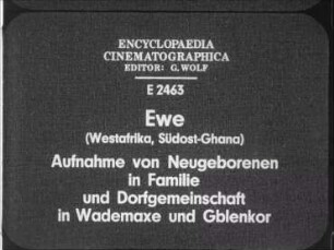 Ewe (Westafrika, Südost-Ghana) - Aufnahme von Neugeborenen in Familie und Dorfgemeinschaft in Wademaxe und Gblenkor