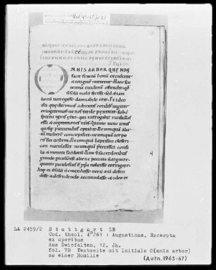 Augustinus, Excerpta ex operibus — Initiale O(mnis arbor), Folio 78recto