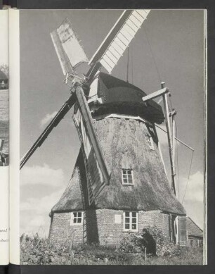 7 Windmuhle bei Wittmund in Ostfriesland. Steht unter Denkmalschutz