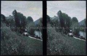 Uferstraße am Luganer See in Ponte Tresa