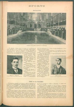 Sports - Natación