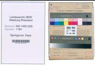 Entnazifizierung Hans Springorum , geb. 06.09.1895 (Kaufmann)