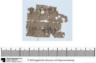 Aramäischer Papyrus, aramäische Version der Behistun‚ Inschrift Dareios’ I., Fragment
