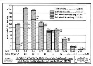 Landwirtschaftliche Betriebe nach Größenklassen und Anteil an Rindvieh- und Kuhhaltung (1971)