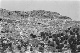 Kidrontal : Das Kidrontal in Jerusalem.