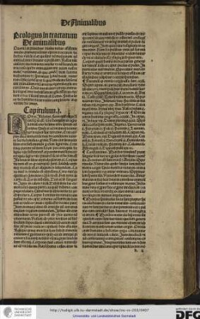 Homo. isidorus Formavit ergo, sicut scriptum est, dominus hominem in agro damasceno de limo terre...
