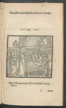 Lucae. VII.