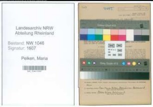 Entnazifizierung Maria Pelken , geb. 17.09.1899 ()