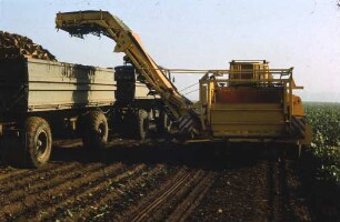 Schwad-oder Rodelader E 682