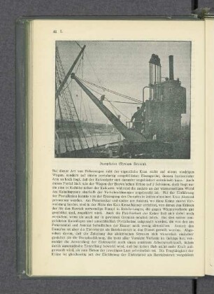 Dampfkran (System Brown).
