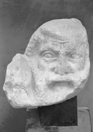 Südmetope 7: Kentaur und Lapith — Kopf des Kentauren