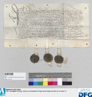 Hanns Tetzel d.Ä., Bürger zu Nürnberg, verkauft Hieronymus Tetzel, Stephan Tetzels sel. Sohn, seinem Vetter, 33 fl. rhein. Ewigzinses, die er auf einem, den Söhnen seines Bruders Gabriel Tetzels, namens Wolf, Gabriel und Michael, gehörigen Viertel der Stadt Gräfenberg hat. - Siegler: Anthoni Tetzel, Jakob Groland, der Aussteller.